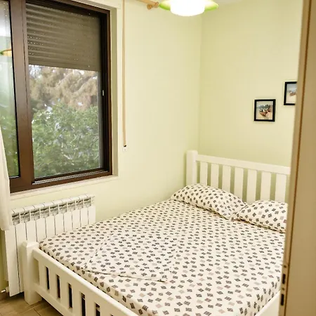 Panoramic View Over Shkodra's - Serena Shkodër