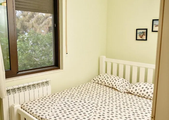 Panoramic View Over Shkodra's - Serena Szkodra